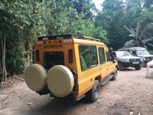 Luxury tourists landcruiser