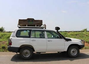 Gx with Rooftop Tent Rental