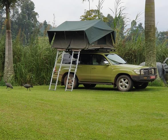 Why Choose A Land Cruiser Prado TX For East African Safari